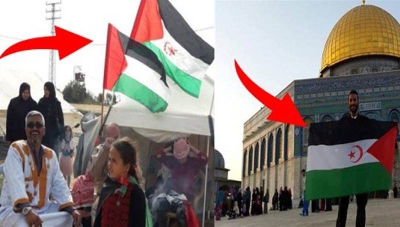 فلسطين والبوليزاريو… المقارنة الجزائرية التي لا تستقيم؟