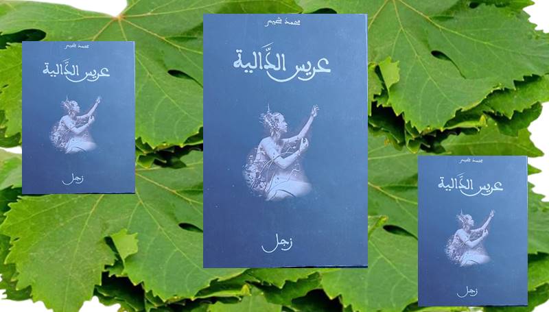 قراءة في ديوان عريس الدالية للزجال المغربي محمد شحيم