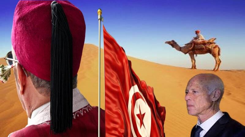 قيس ملوح الجزائر وفرنسا يطعن ظهر المغرب