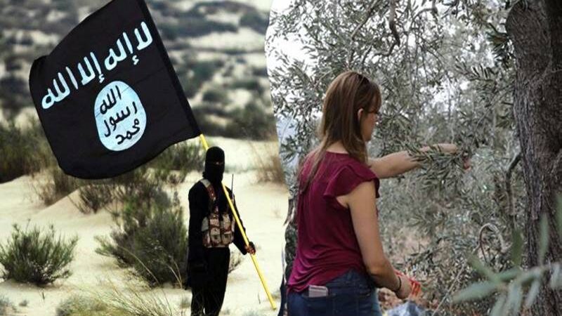 هاربون من داعش إلى ظلال شجرة السلام