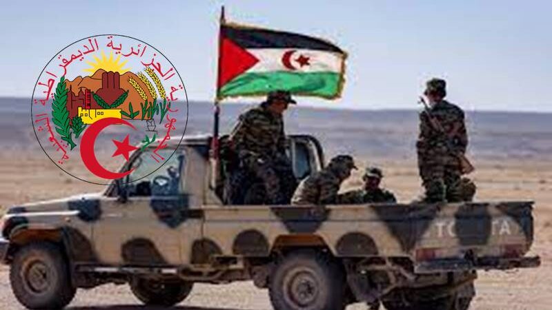 جبهة البوليساريو الانفصالية والانقلاب على الجزائر