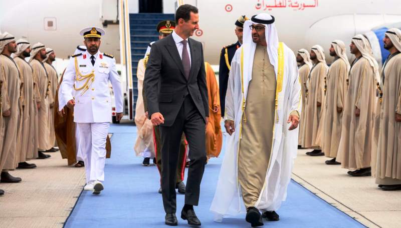 الأسد في الإمارات مرحبا به