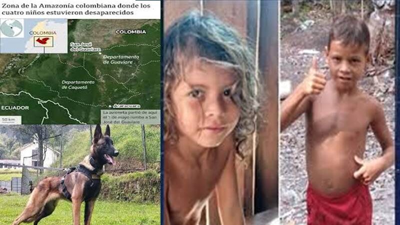 مأساة الأطفال المختفين في غابات الأمازون 