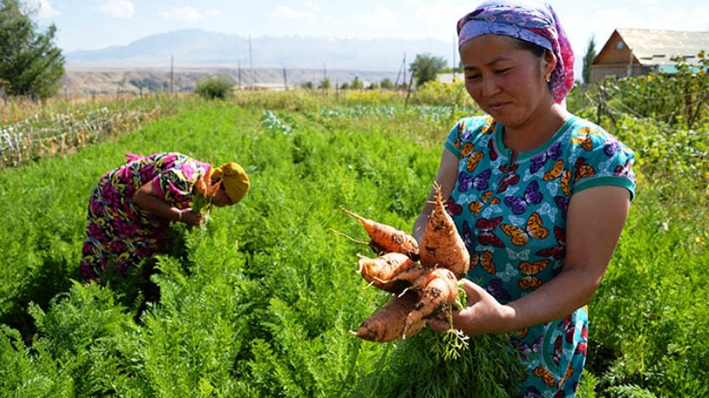 ديون قيرغيزستان والمشاريع الخضراء