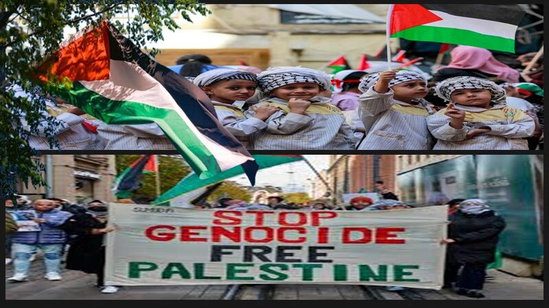 الإبادة الثقافية للفلسطينيين.. الهجوم الإسرائيلي على التراث والذاكرة والهوية