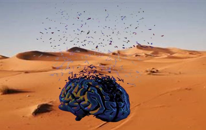 أي سياسة عمومية لمواجهة اعتداءات “المختلين عقليا” على المواطنين؟