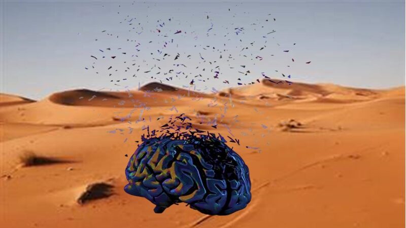 أي سياسة عمومية لمواجهة اعتداءات “المختلين عقليا” على المواطنين؟