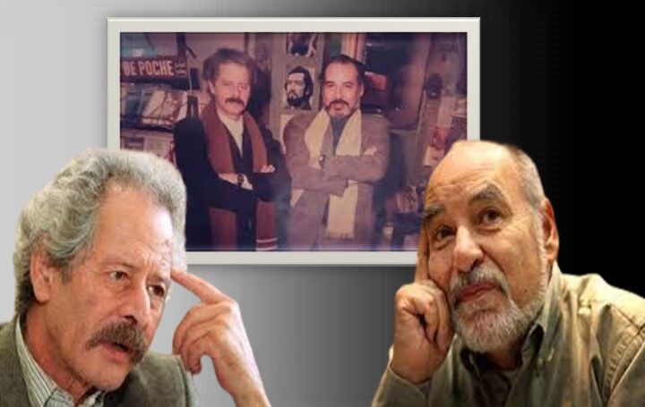 الصداقة الأدبية