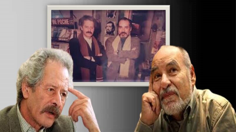الصداقة الأدبية