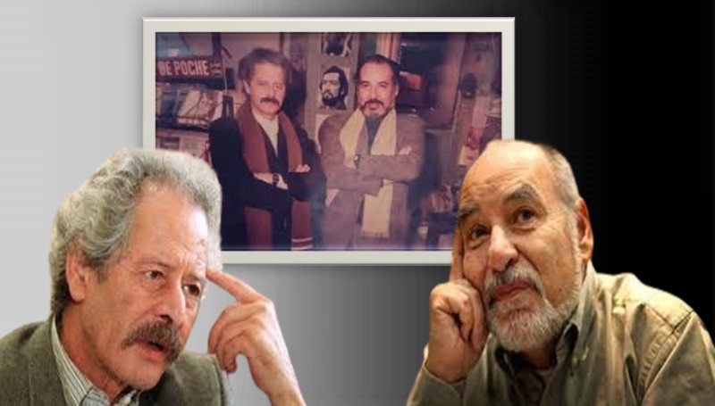 الصداقة الأدبية
