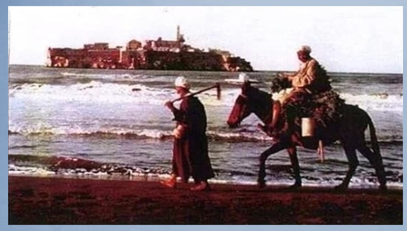 الأحرار الطلقاء والأسرىَ السّجناء!