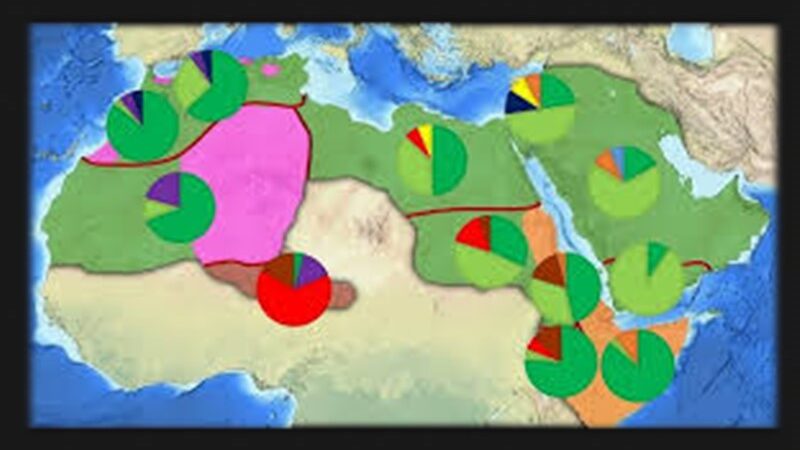 التعددية الثقافية والتصنيف الثلاثي للأقليات في العالم العربي